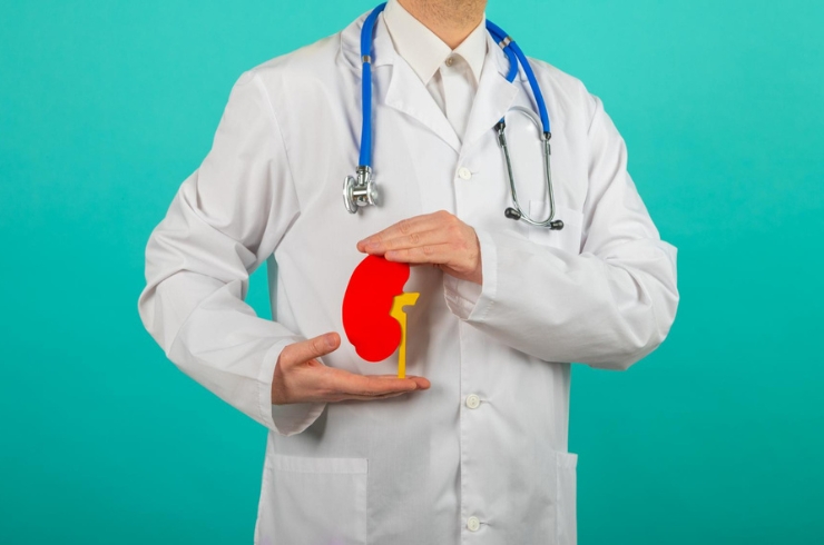 Kidney Transplantation